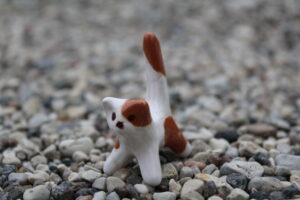 Väike laiguline kiisu